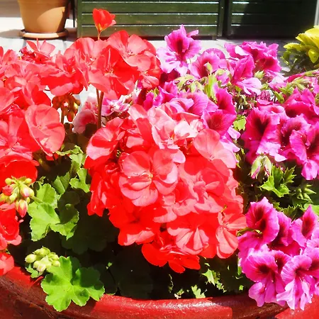 Liman Μαρμαρίς